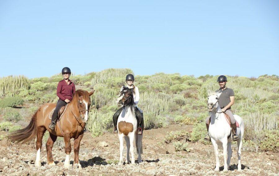 El Salobre: Horse Riding Adventure with Transfer Options - What the trail is really like