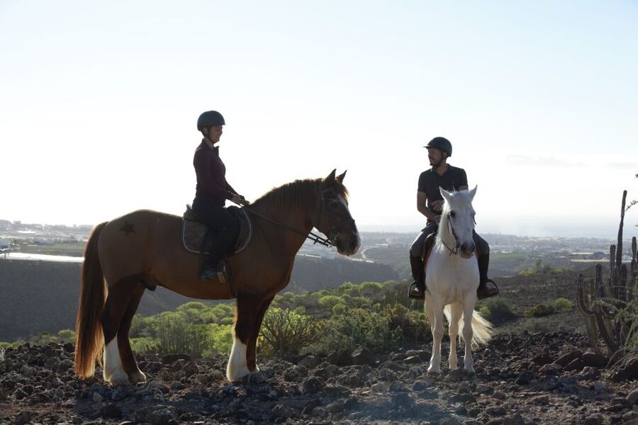 El Salobre: Horse Riding Adventure with Transfer Options - Who will enjoy this ride most?