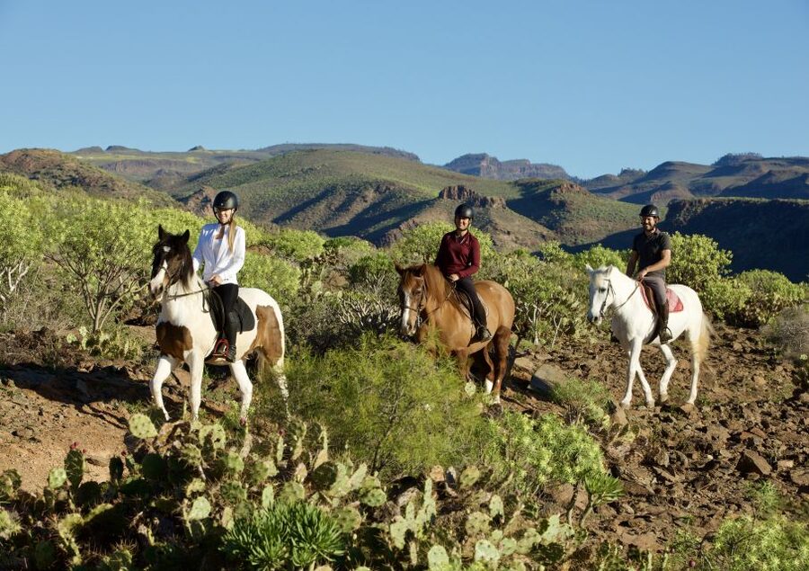 El Salobre: Horse Riding Adventure with Transfer Options - Meeting your horse at the ranch