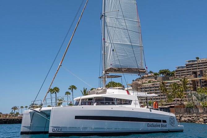 Exclusive Private Charter in Gran Canaria - Key points at a glance