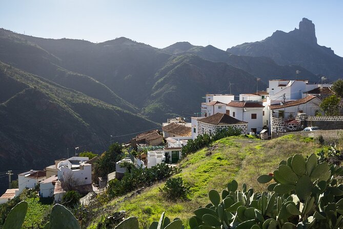 Firgas, Tejeda, Guayadeque - VIP Tour Gran Canaria - A full day across Gran Canaria’s interior