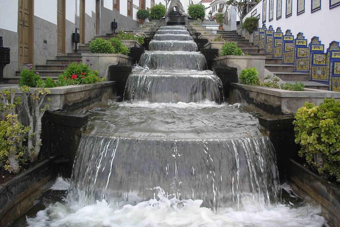 Firgas, Tejeda, Guayadeque - VIP Tour Gran Canaria - What $59.13 really buys you