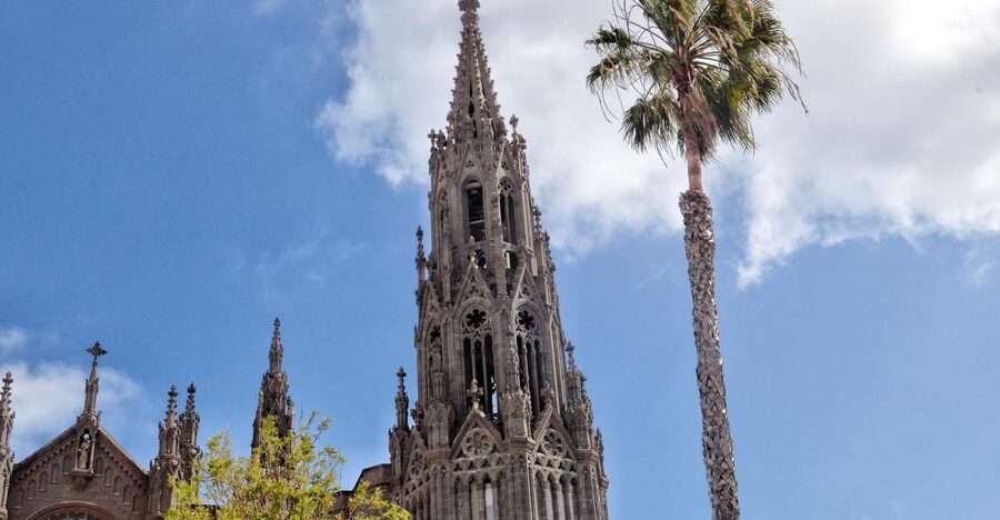 From Las Palmas: Full-Day Tour of the North - Key points at a glance