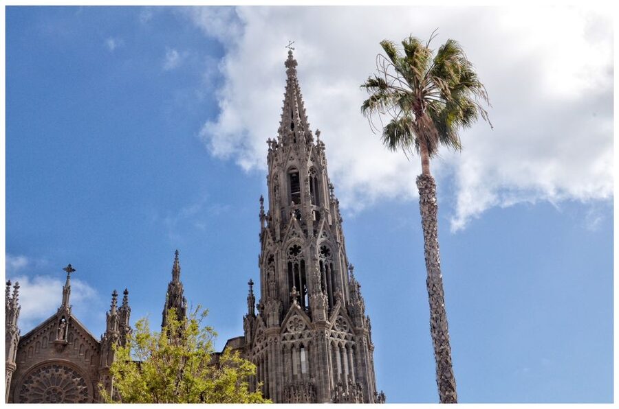 From Las Palmas: Full-Day Tour of the North - Why this north coast tour works