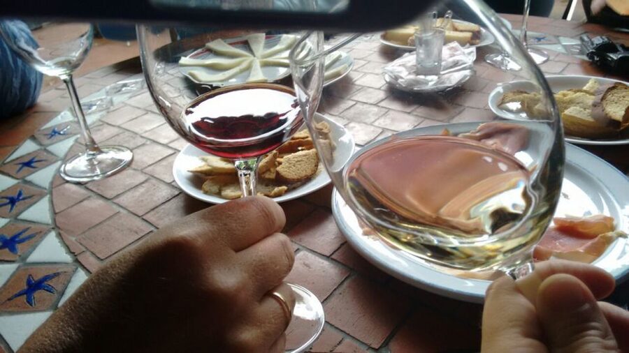 From Las Palmas: Full-Day Tour of the North - Coffee in the Agaete valley
