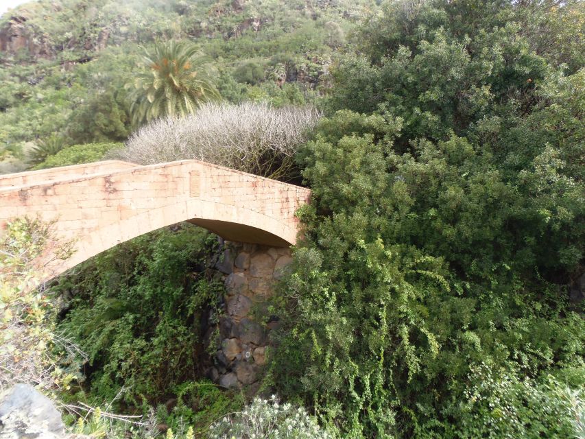 From Las Palmas: Full-Day Tour of the North - Vineyard, local wine, and cheese