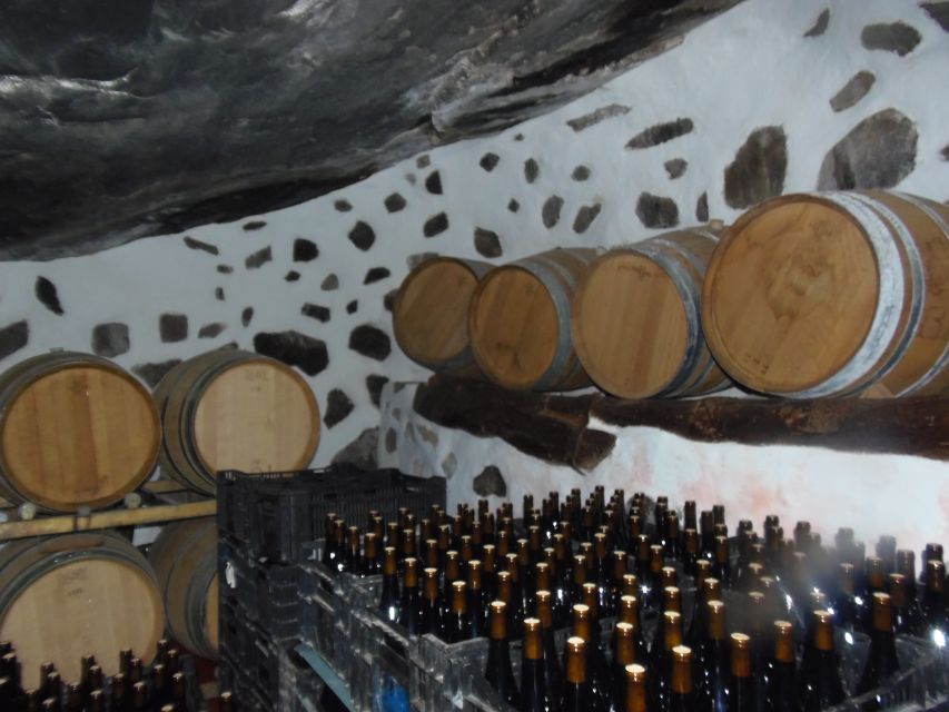 From Las Palmas: Full-Day Tour of the North - Puerto de las Nieves and the late lunch issue
