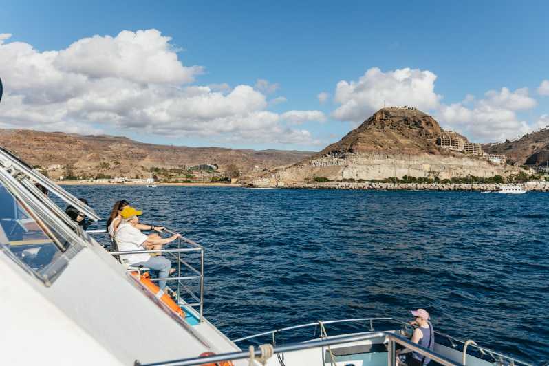 From Las Palmas: Highlights of Gran Canaria Day Tour - Key points at a glance