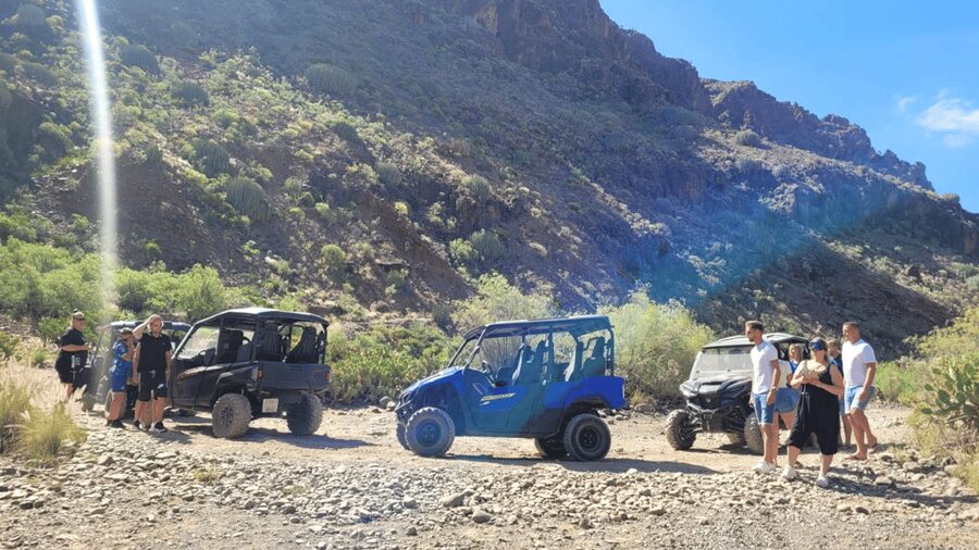 From Maspalomas: Volcanic Landscapes 4-Seater Buggy Tour - Is the four-seat buggy good value at $177?