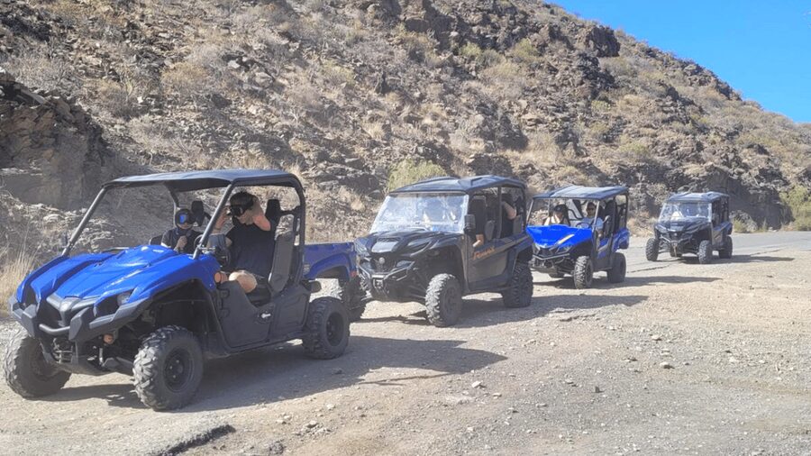 From Maspalomas: Volcanic Landscapes 4-Seater Buggy Tour - Who should book this buggy tour?