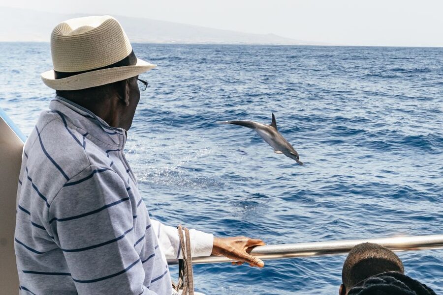 From Puerto Rico de Gran Canaria: Dolphin Watching Cruise - My verdict on the $47 price