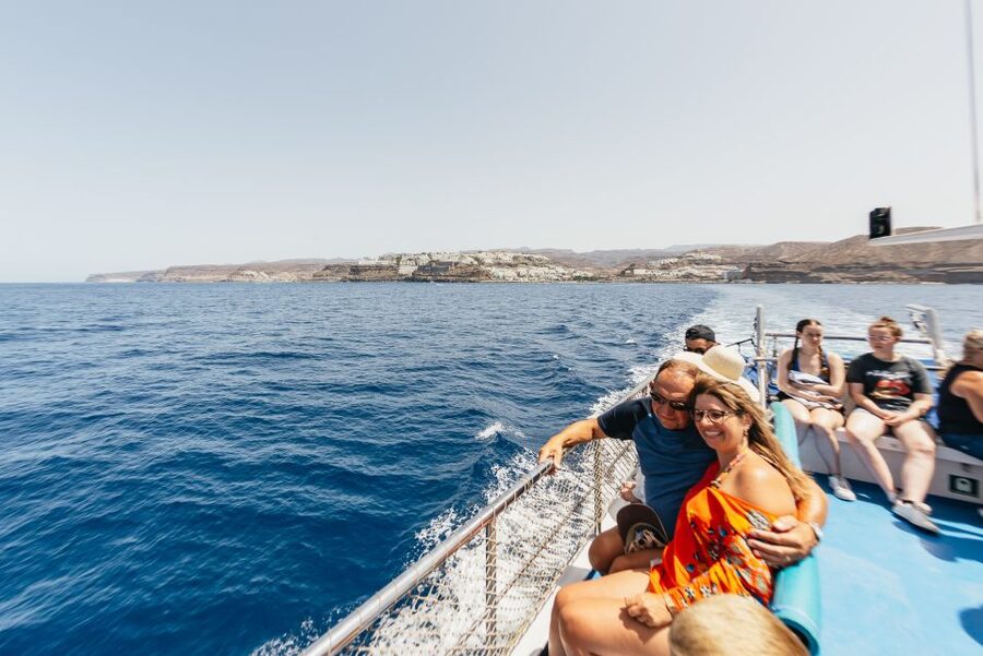 From Puerto Rico de Gran Canaria: Dolphin Watching Cruise - The search for dolphins and whales