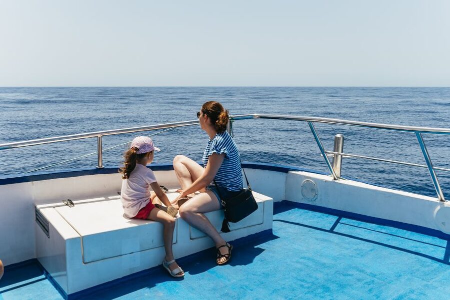 From Puerto Rico de Gran Canaria: Dolphin Watching Cruise - What the glass-bottom view can and cannot do