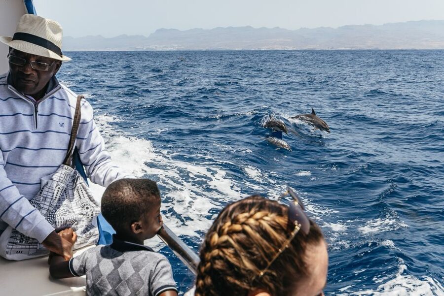 From Puerto Rico de Gran Canaria: Dolphin Watching Cruise - How the return guarantee works