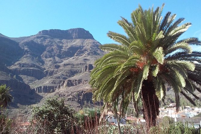 Full Day Across the Island Tour from Las Palmas - Bandama begins with volcanic drama