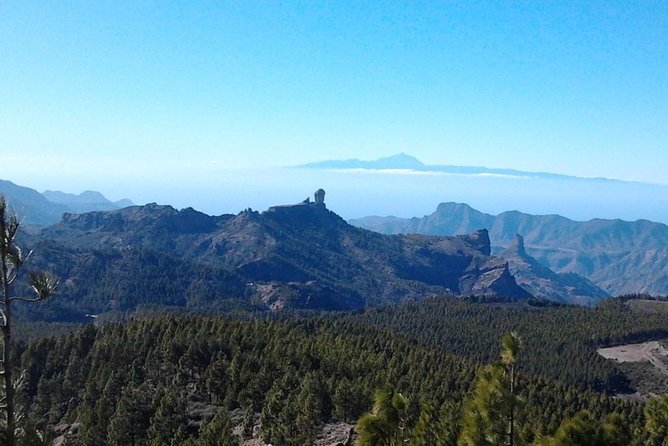 Full Day Across the Island Tour from Las Palmas - Pico de las Nieves reaches the island’s high point