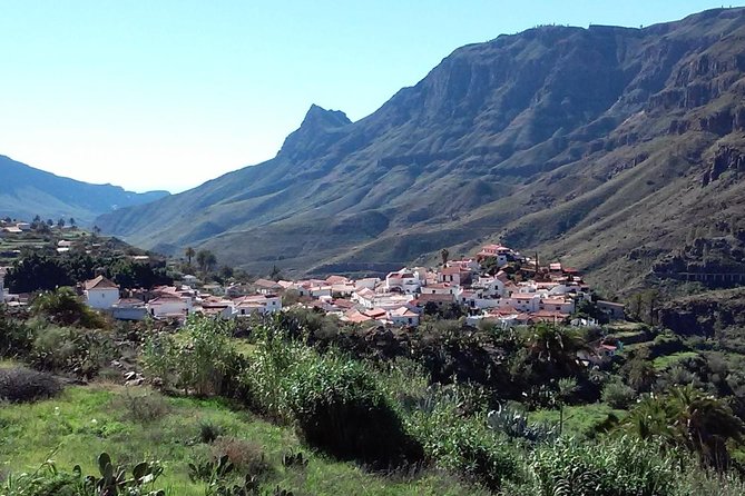 Full Day Across the Island Tour from Las Palmas - Fataga is the day’s best pause