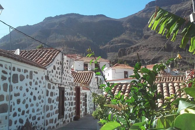 Full Day Across the Island Tour from Las Palmas - Pavel’s guiding style matters