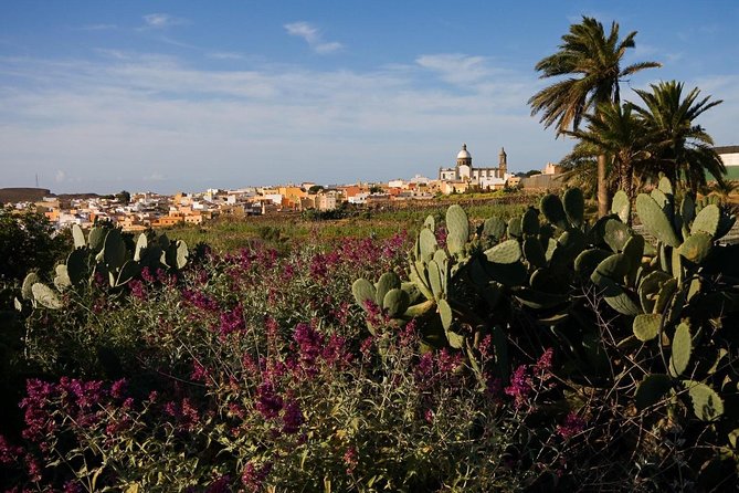 Full-Day Gran Canaria Island Tour - Cumbres - Pickup, group size, and practical planning