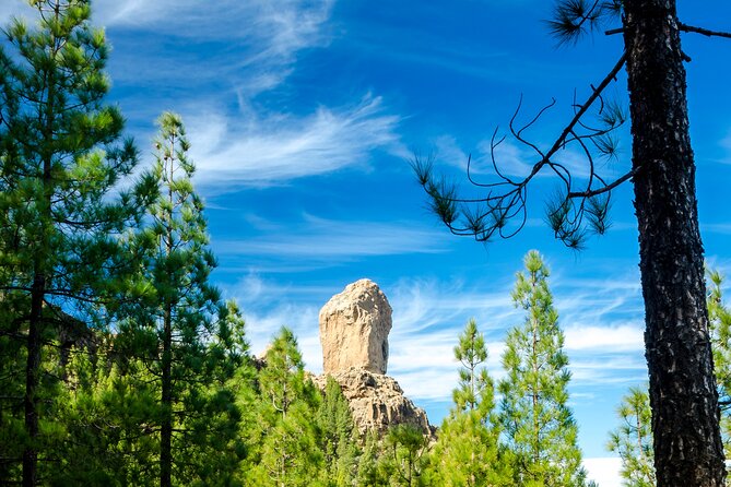 Full-Day Gran Canaria Tour with Teror, Tejeda and Lunch in Fataga - Fataga lunch at a family-run restaurant