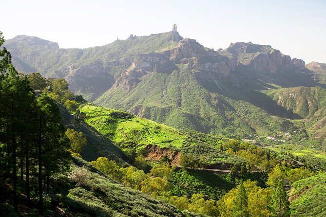 Full-Day Gran Canaria Tour with Teror, Tejeda and Lunch in Fataga - Guides, buses, and the reality of the road time