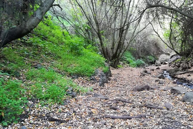 Full day Hiking and Waterfalls Experience - The 9:00 a.m. start and the shape of the day
