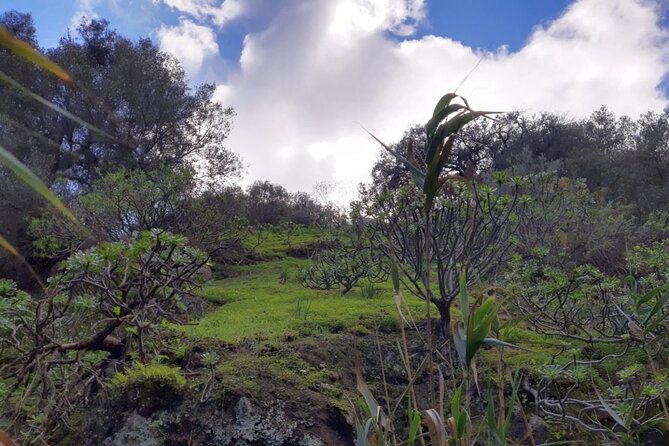 Full day Hiking and Waterfalls Experience - Following the waterfalls through the wetter north