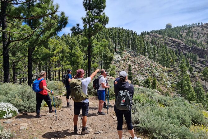 Full day Hiking Gran Canaria Peaks of Gran Canaria - Key things to know before booking