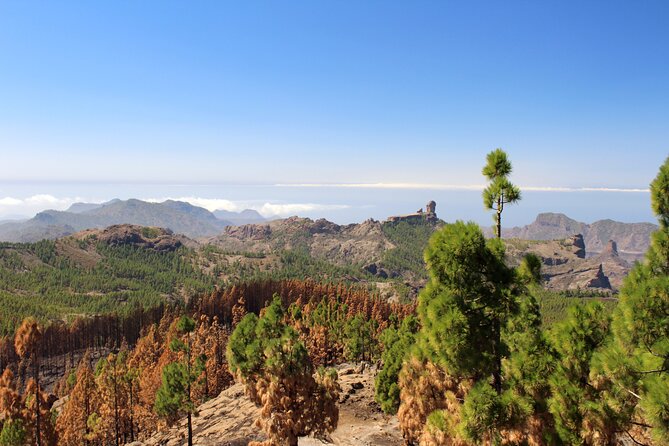 Full day Hiking Gran Canaria Peaks of Gran Canaria - Why Gran Canaria’s central peaks are worth your day