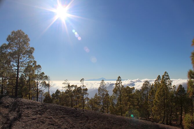 Full day Hiking Gran Canaria Peaks of Gran Canaria - What the 7 to 10 kilometer route feels like