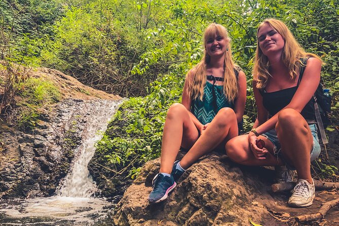 Full Day Rainforest Tour with Tasting and Swimming Time ツ - Farm food with a real sense of place
