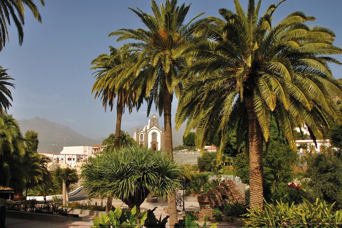 Full-Day Tour Exploring History, Nature and Aloe Vera Farm - What this Gran Canaria day tour is really designed to do
