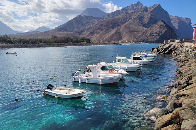Full Private Tour of Gran Canaria with Natural Pools - Puerto de las Nieves, fish lunch, and the broken Finger of God