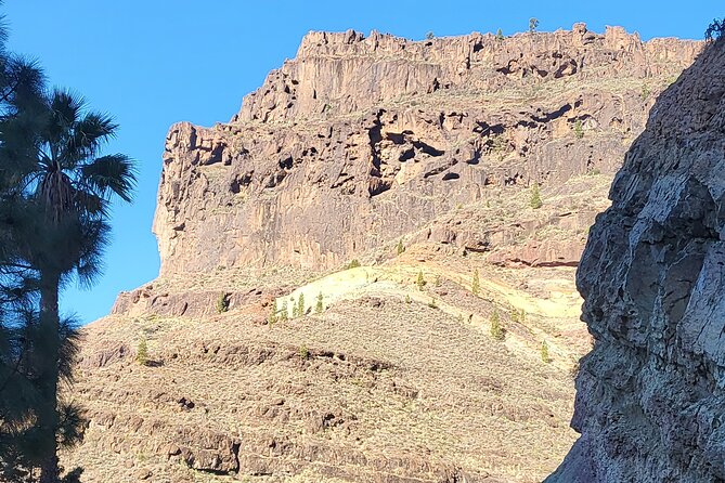 Full Private Tour of Gran Canaria with Natural Pools - Arucas and the black-basalt church