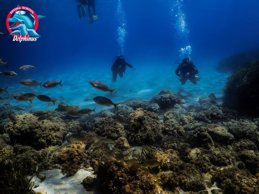 Gran Canaria: 3-Day Open Water Diver Course - Should you book the Gran Canaria course?