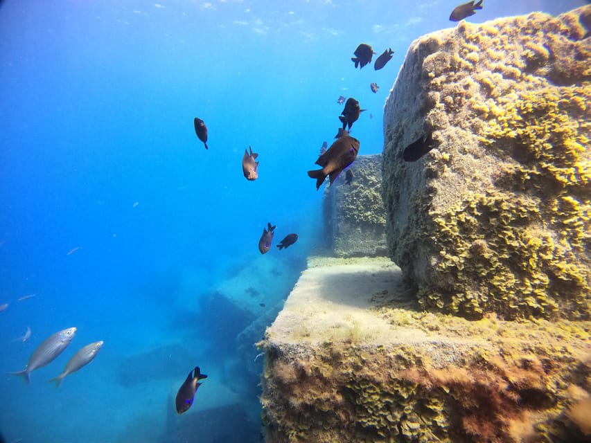 Gran Canaria: 3-Day Open Water Diver Course - From classroom basics to Atlantic water