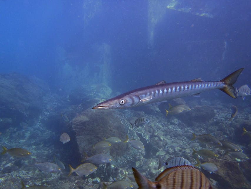 Gran Canaria: 3-Day Open Water Diver Course - The second day brings a real test
