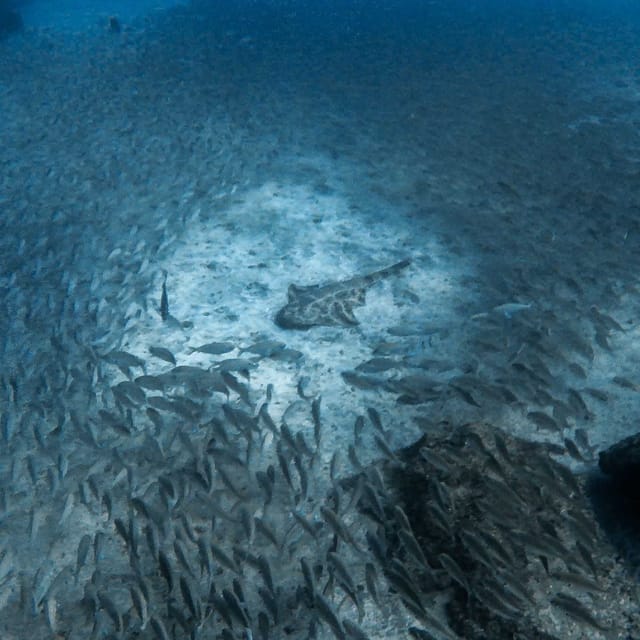 Gran Canaria: 3-Day Open Water Diver Course - Practical details that affect your day