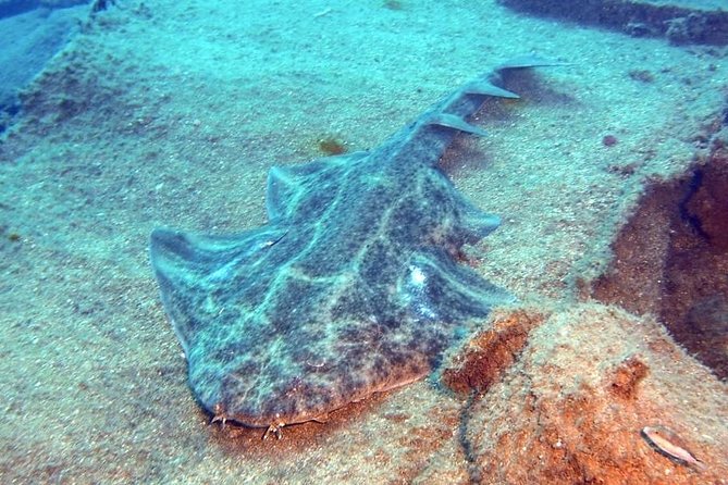 Gran Canaria 3 days / 6 dives in Various Locations - Reefs, wrecks, arches, and caves