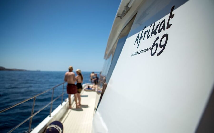 Gran Canaria: Afternoon Catamaran Cruise with Food & Drink - The crew, music, and social mood onboard