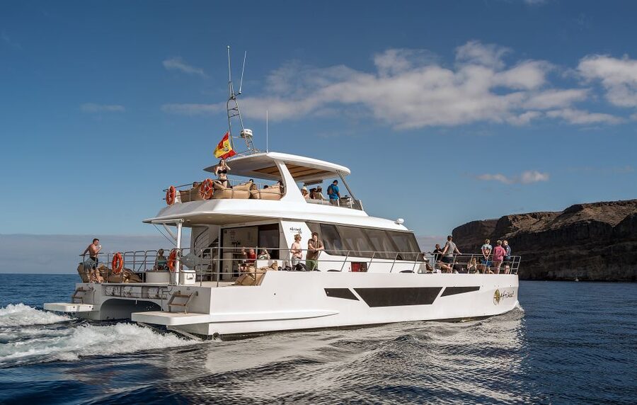 Gran Canaria: Afternoon Catamaran Cruise with Food & Drink - Who will enjoy this Gran Canaria catamaran trip