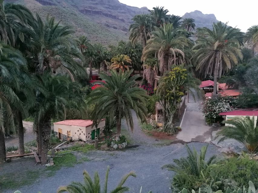 Gran Canaria: Camel Ride at Camel Safari Park - Should you book the Camel Safari Park ride?