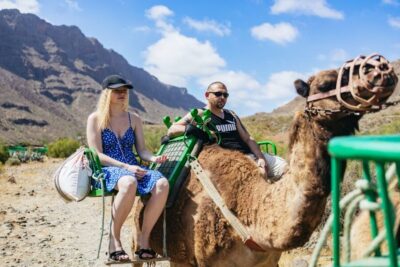 Camel Ride Safari w/ Optional Food & Transport