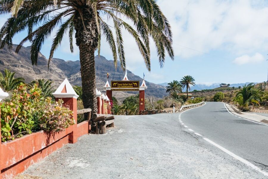 Gran Canaria: Camel Ride Safari w/ Optional Food & Transport - Homemade tapas in an old farm setting