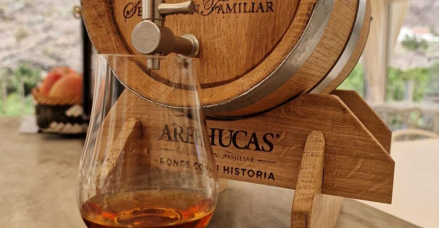 Gran Canaria: canarian rum & local cheese tasting tour - Should you book the Valle de Mogán tasting?