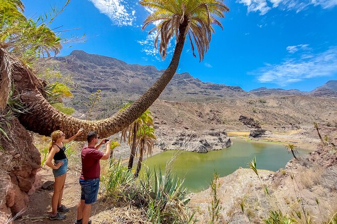 Gran Canaria Cave, Oasis, Red-gorge Adventure & cosy Picnic - Temisas, olive trees, and the quiet side of island life