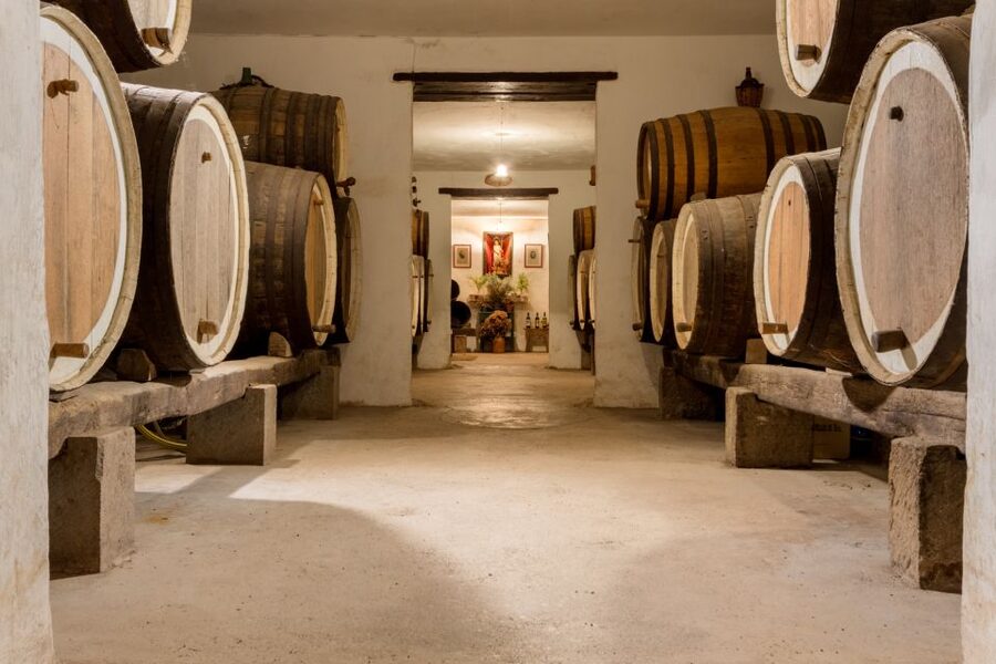 Gran Canaria: Customizable Private Tour - Key points to know before booking