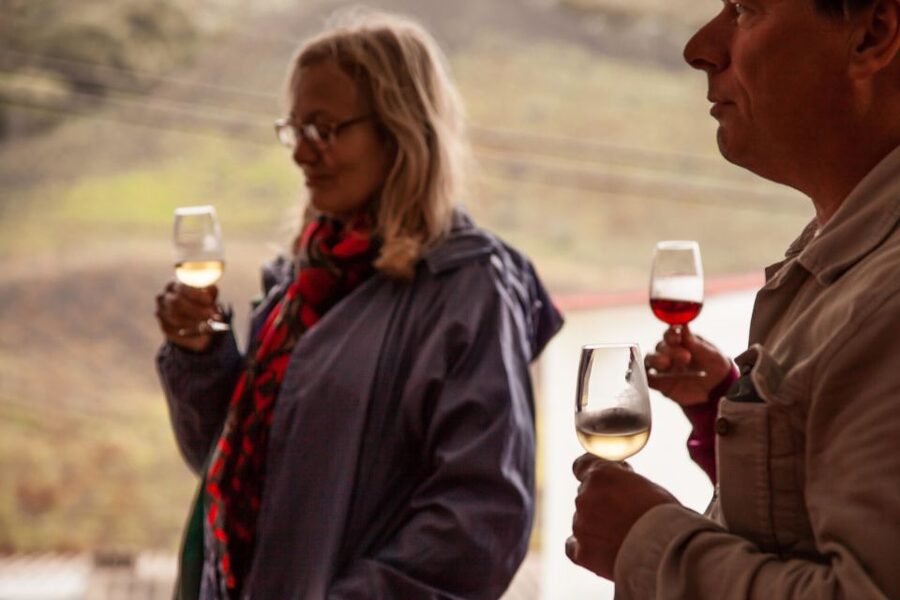 Gran Canaria: Customizable Private Tour - Archaeological sites and the first inhabitants