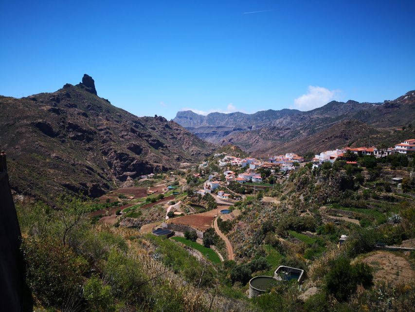 Gran Canaria: Customizable Private Tour - Vineyards, local cheese, and a slower taste of Gran Canaria