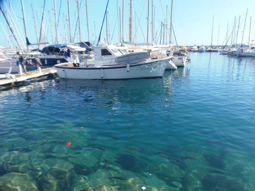 Gran Canaria: Customizable Private Tour - Museums, shopping, and a city-focused alternative